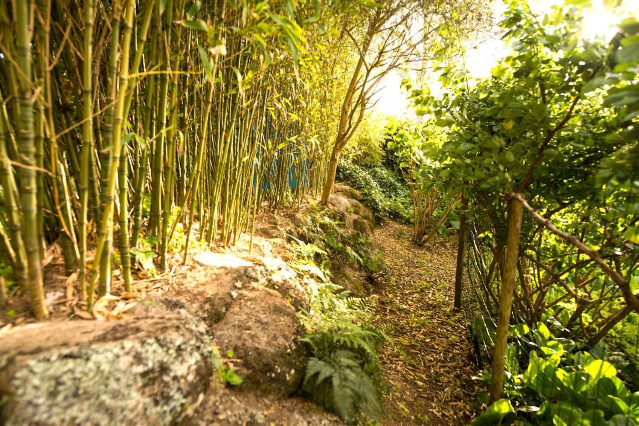 A House In The Woods Villa Sintra Ngoại thất bức ảnh
